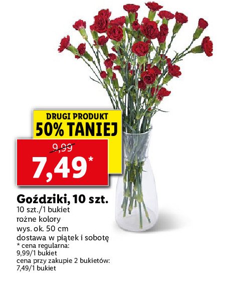 Go偶dziki promocja