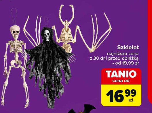 Szkielet promocja