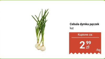 Cebula dymka pęczek promocja w Biedronka