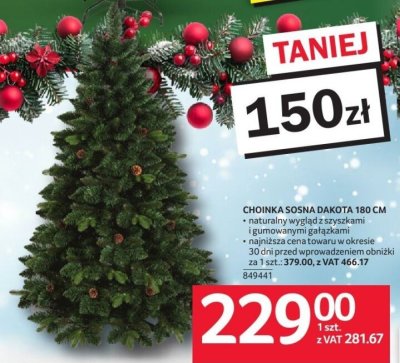 Choinka sosna Dakota 180 cm promocja w Selgros