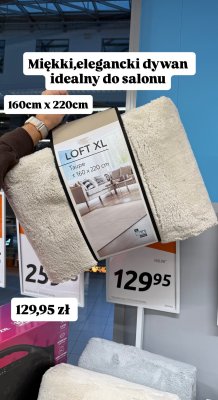 Dywan LOFT XL Taupe 160x220cm promocja w Action