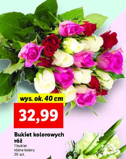 Bukiet kolorowych róż 40 cm promocja
