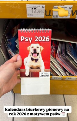Kalendarz biurkowy pionowy na rok 2026 Psy promocja w Intermarche