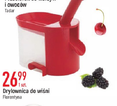 Drylownica do wi艣ni Florina (florentyna) promocja