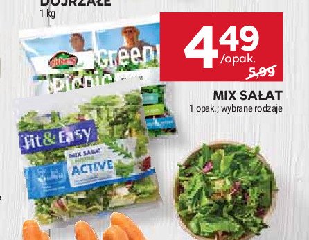 Mieszanka sałat green picnic Eisberg promocja