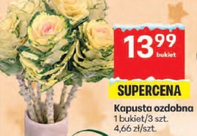 Kapusta ozdobna promocja w Delikatesy Centrum