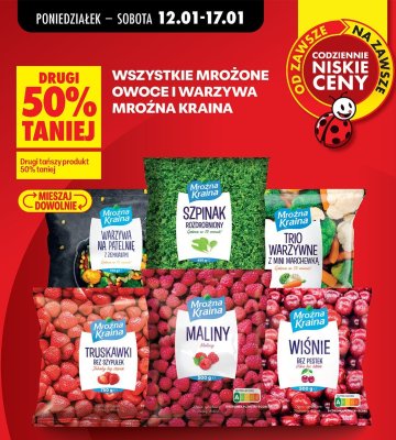 Warzywa na patelnię z ziemniakami Mrożna Kraina promocja w Biedronka