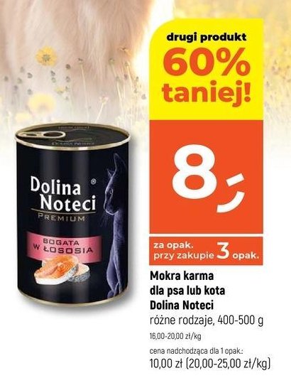 Karma dla kota bogata w łososia DOLINA NOTECI PREMIUM promocja