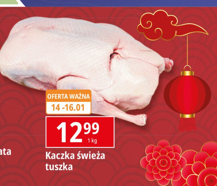 Kaczka tusza promocja