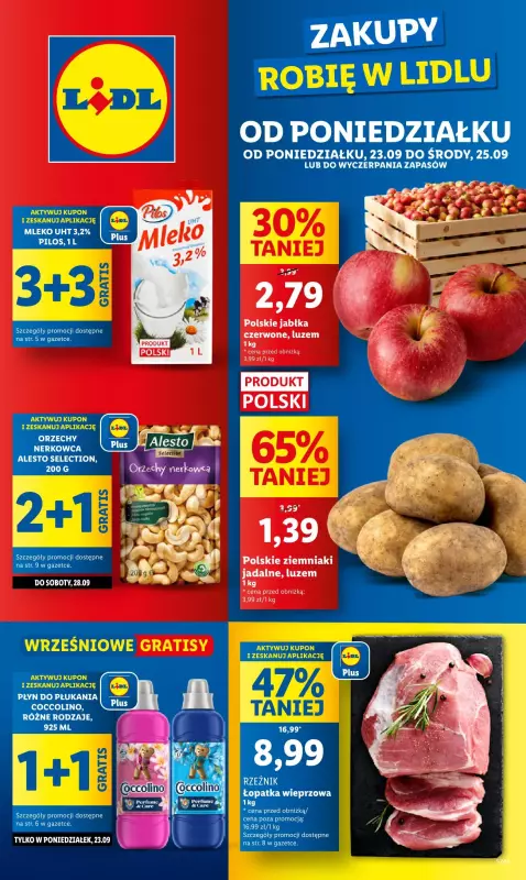 Lidl - gazetka promocyjna Oferta od poniedziałku  