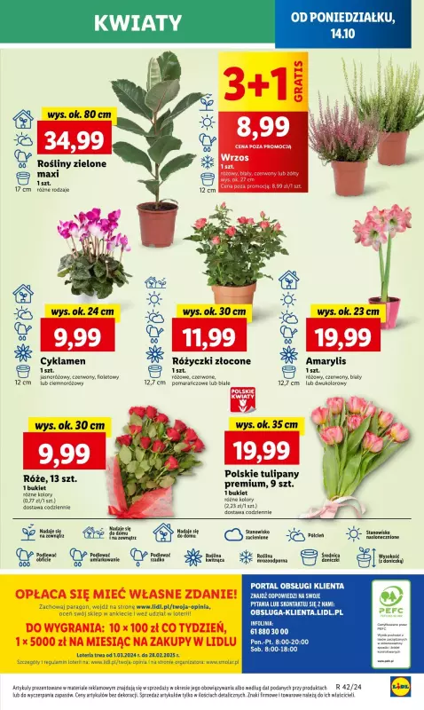 Lidl - gazetka promocyjna Oferta od poniedziałku od poniedziałku 14.10 do środy 16.10 - strona 53