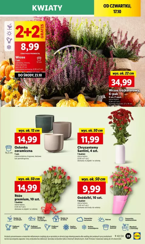 Lidl - gazetka promocyjna Oferta od czwartku od czwartku 17.10 do soboty 19.10 - strona 47