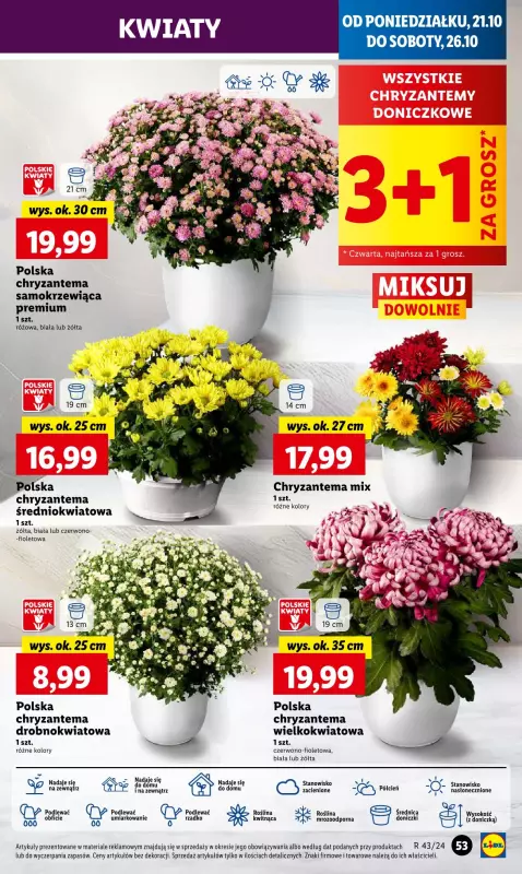 Lidl - gazetka promocyjna Oferta od poniedziałku od poniedziałku 21.10 do środy 23.10 - strona 59