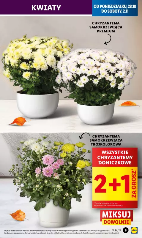 Lidl - gazetka promocyjna Oferta od poniedziałku od poniedziałku 28.10 do wtorku 29.10 - strona 9