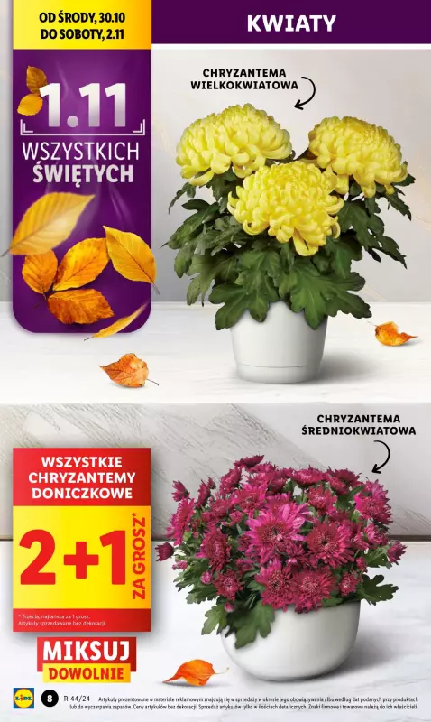 Lidl - gazetka promocyjna Oferta od środy od środy 30.10 do soboty 02.11 - strona 8