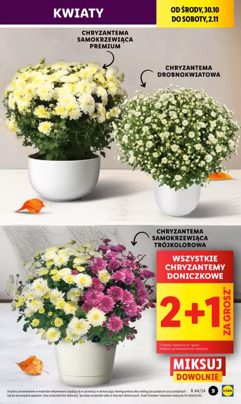 Lidl - gazetka promocyjna Oferta od środy od środy 30.10 do soboty 02.11 - strona 9