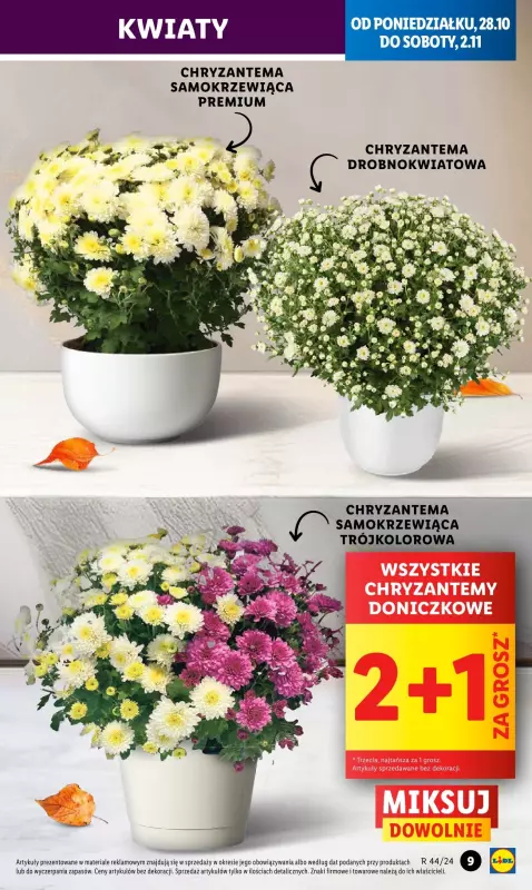 Lidl - gazetka promocyjna Oferta od poniedziałku od poniedziałku 28.10 do wtorku 29.10 - strona 11