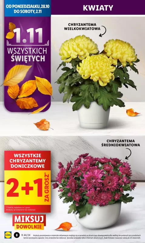 Lidl - gazetka promocyjna Oferta od poniedziałku od poniedziałku 28.10 do wtorku 29.10 - strona 10