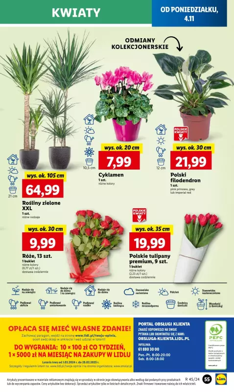 Lidl - gazetka promocyjna Oferta od poniedziałku od poniedziałku 04.11 do środy 06.11 - strona 61