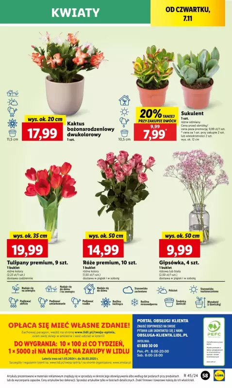 Lidl - gazetka promocyjna Oferta od czwartku od czwartku 07.11 do soboty 09.11 - strona 61