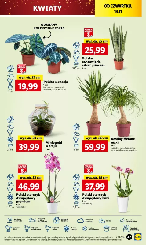 Lidl - gazetka promocyjna Oferta od czwartku od czwartku 14.11 do soboty 16.11 - strona 53