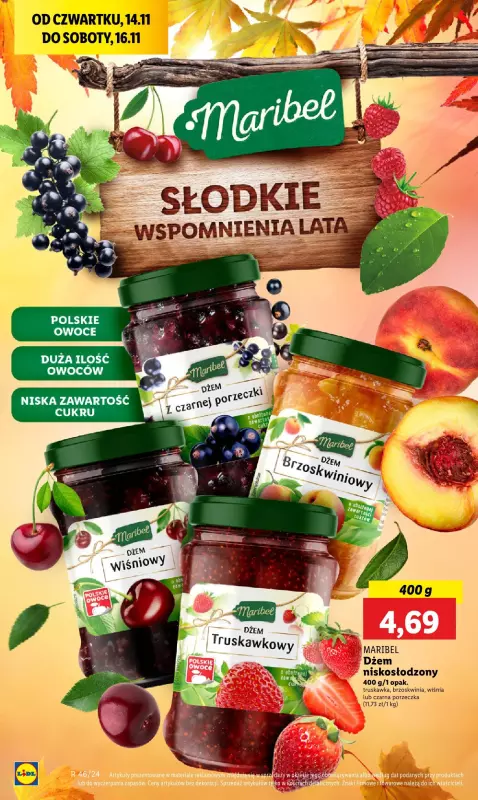 Lidl - gazetka promocyjna Oferta od czwartku od czwartku 14.11 do soboty 16.11 - strona 46