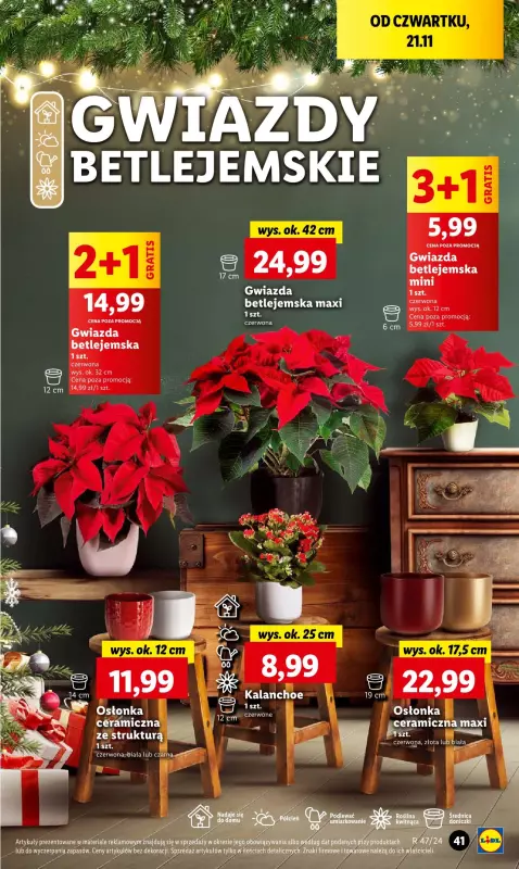 Lidl - gazetka promocyjna Oferta od czwartku od czwartku 21.11 do soboty 23.11 - strona 37