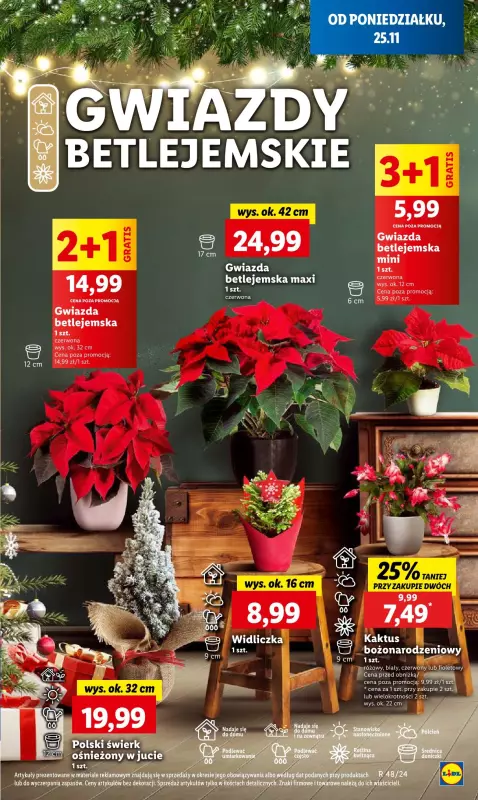 Lidl - gazetka promocyjna Oferta od poniedziałku od poniedziałku 25.11 do środy 27.11 - strona 67