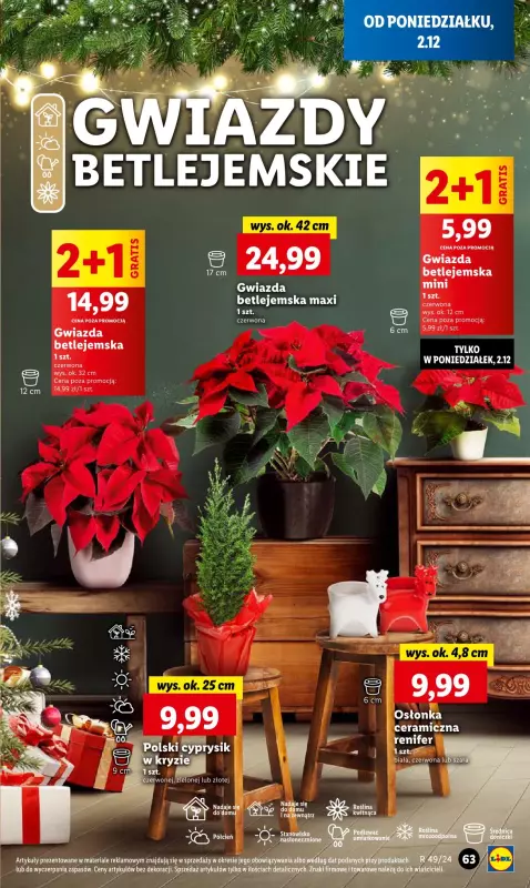 Lidl - gazetka promocyjna Oferta od poniedziałku od poniedziałku 02.12 do środy 04.12 - strona 67