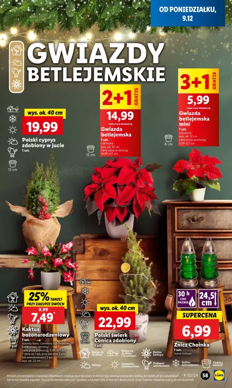 Lidl - gazetka promocyjna Oferta od poniedziałku od poniedziałku 09.12 do środy 11.12 - strona 61