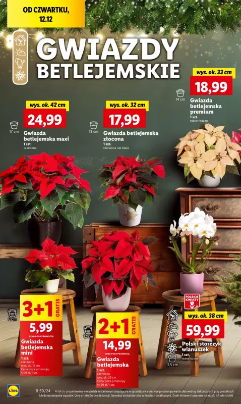 Lidl - gazetka promocyjna Oferta od czwartku od czwartku 12.12 do niedzieli 15.12 - strona 52