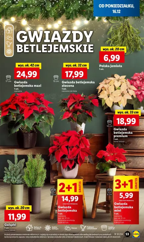 Lidl - gazetka promocyjna Oferta od poniedziałku od poniedziałku 16.12 do środy 18.12 - strona 63