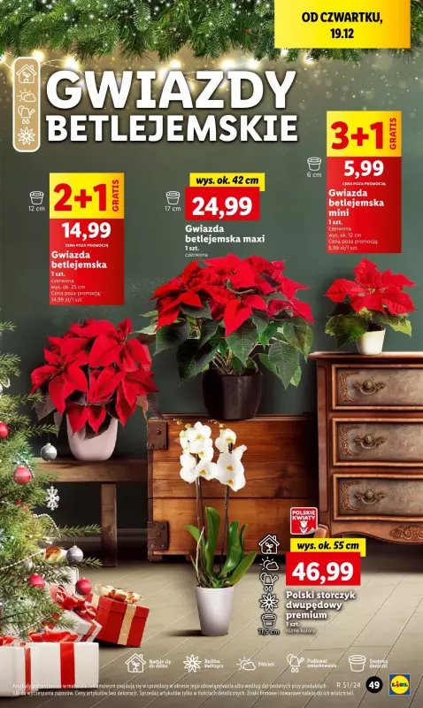 Lidl - gazetka promocyjna Oferta od czwartku od czwartku 19.12 do niedzieli 22.12 - strona 57