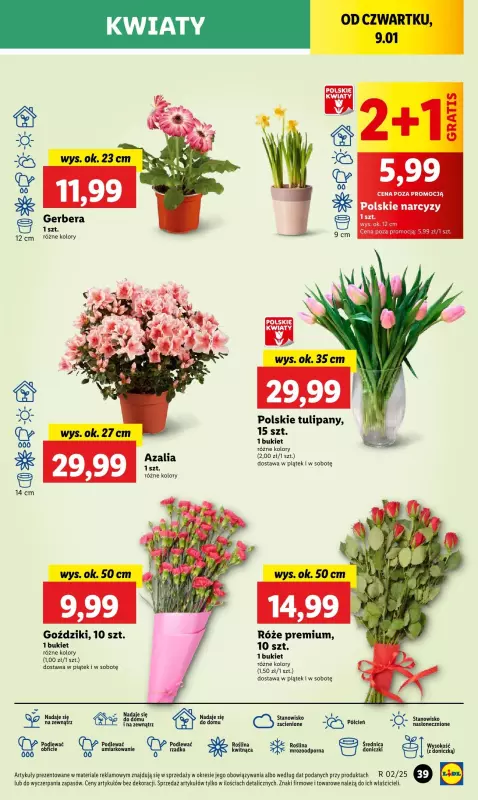 Lidl - gazetka promocyjna Oferta od czwartku od czwartku 09.01 do soboty 11.01 - strona 47