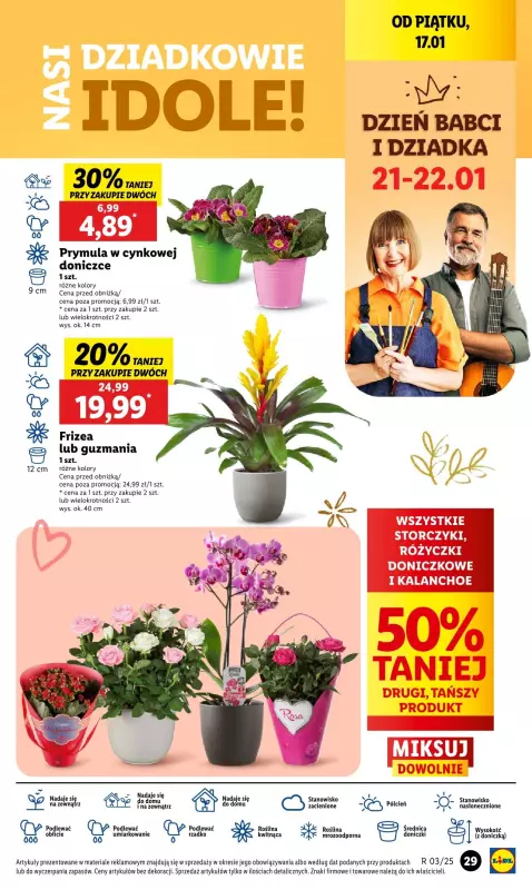 Lidl - gazetka promocyjna Oferta od czwartku od czwartku 16.01 do soboty 18.01 - strona 33