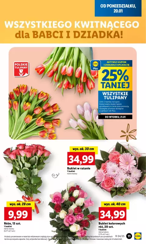 Lidl - gazetka promocyjna Oferta od poniedziałku od poniedziałku 20.01 do środy 22.01 - strona 13