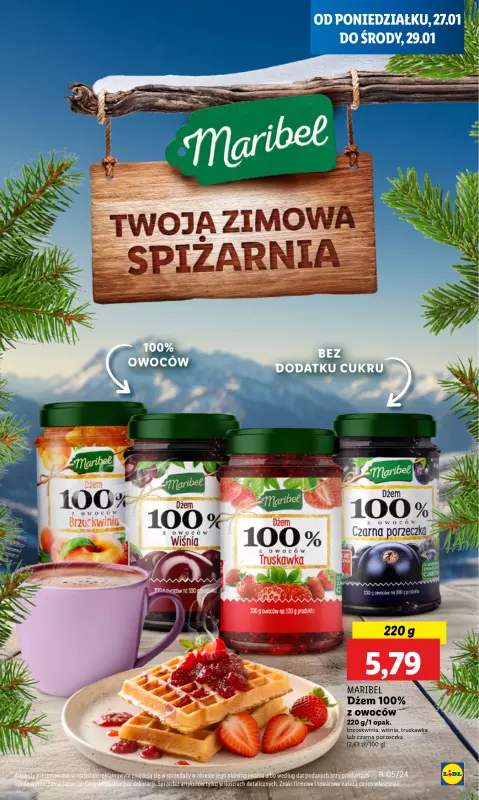 Lidl - gazetka promocyjna Oferta od poniedziałku od poniedziałku 27.01 do środy 29.01 - strona 45