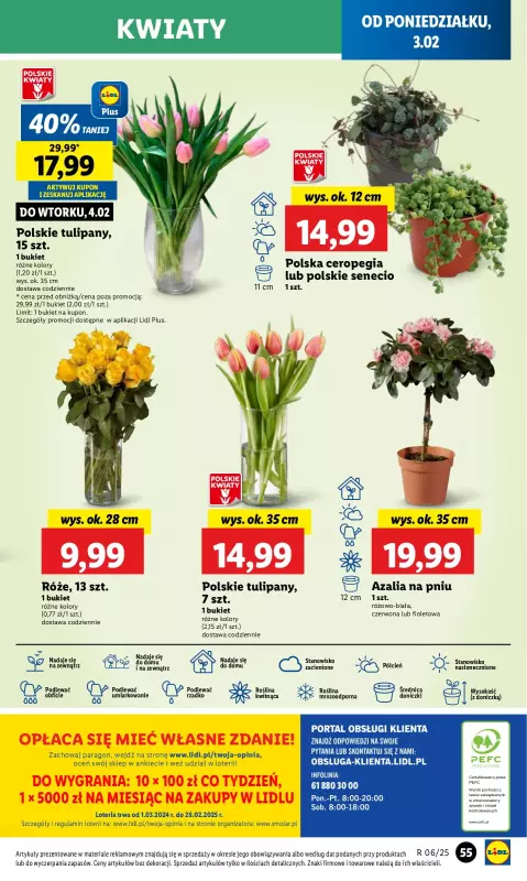 Lidl - gazetka promocyjna Oferta od poniedziałku od poniedziałku 03.02 do środy 05.02 - strona 59