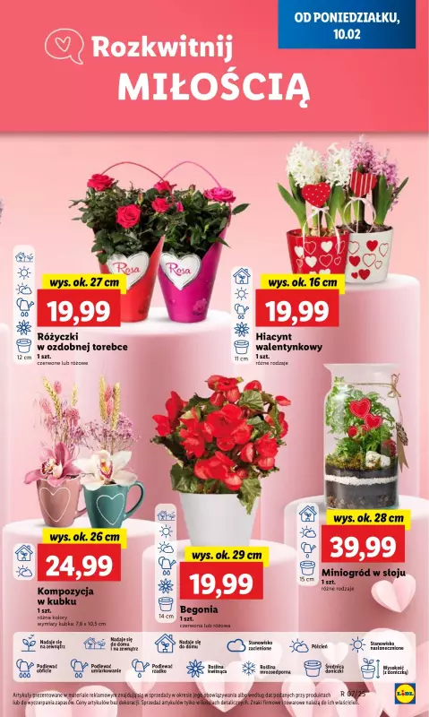 Lidl - gazetka promocyjna Oferta od poniedziałku od poniedziałku 10.02 do środy 12.02 - strona 23