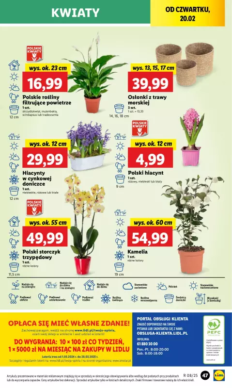 Lidl - gazetka promocyjna Oferta od czwartku od czwartku 20.02 do soboty 22.02 - strona 53