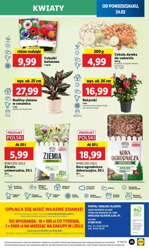 Lidl - gazetka promocyjna Oferta od poniedziałku od poniedziałku 24.02 do środy 26.02 - strona 59