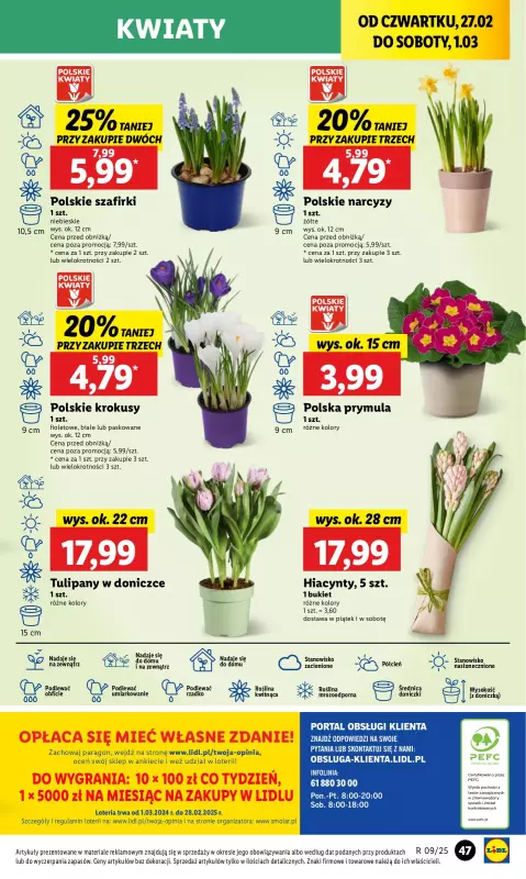 Lidl - gazetka promocyjna Oferta od czwartku od czwartku 27.02 do soboty 01.03 - strona 53