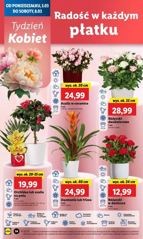 Lidl - gazetka promocyjna Oferta od poniedziałku od poniedziałku 03.03 do środy 05.03 - strona 18