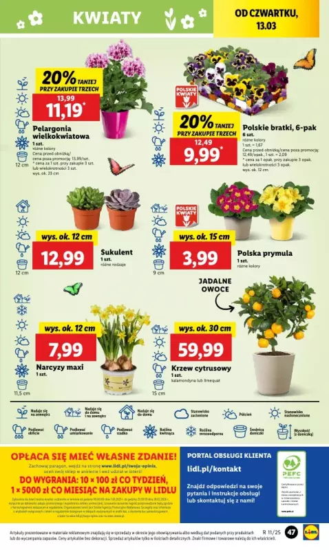 Lidl - gazetka promocyjna Oferta od czwartku od czwartku 13.03 do soboty 15.03 - strona 55