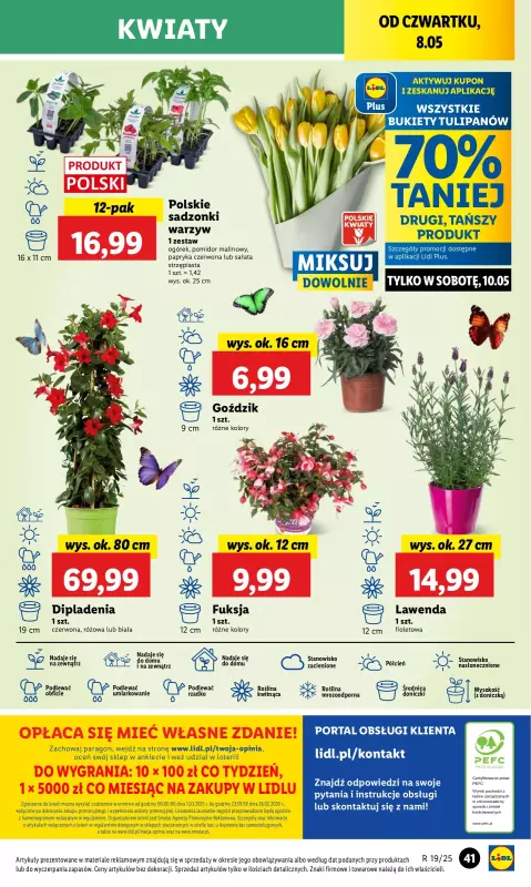 Lidl - gazetka promocyjna Oferta od czwartku od czwartku 08.05 do soboty 10.05 - strona 49