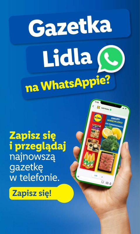 Lidl - gazetka promocyjna Katalog od poniedziałku 19.05 do soboty 24.05 - strona 21
