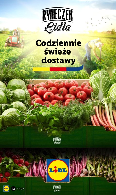 Lidl - gazetka promocyjna Oferta od poniedziałku od poniedziałku 12.05 do środy 14.05 - strona 15