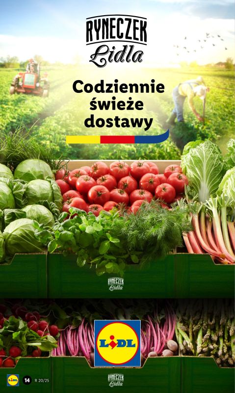 Lidl - gazetka promocyjna Oferta od czwartku od czwartku 15.05 do soboty 17.05 - strona 16