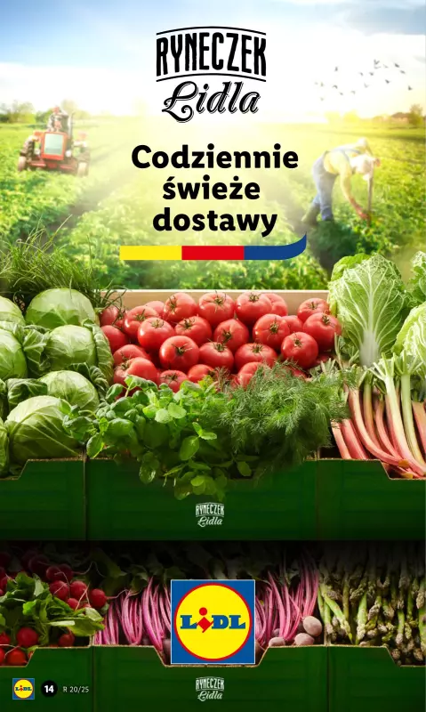 Lidl - gazetka promocyjna Oferta od czwartku od czwartku 15.05 do soboty 17.05 - strona 16