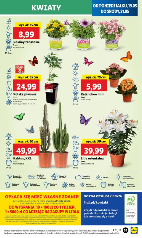 Lidl - gazetka promocyjna Oferta od poniedziałku od poniedziałku 19.05 do środy 21.05 - strona 61